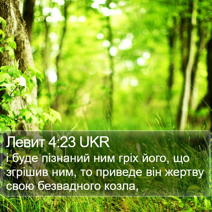 Левит 4:23 UKR Bible Study