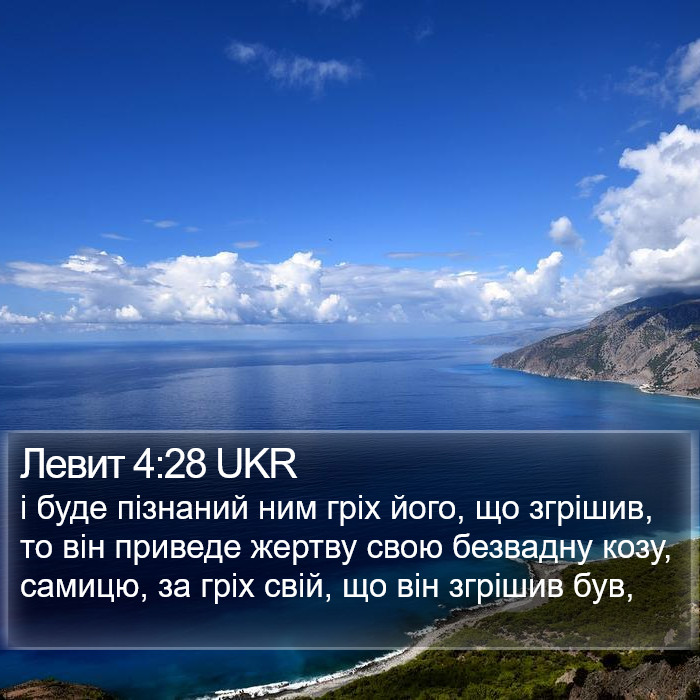 Левит 4:28 UKR Bible Study