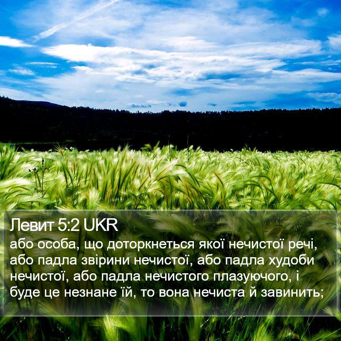 Левит 5:2 UKR Bible Study