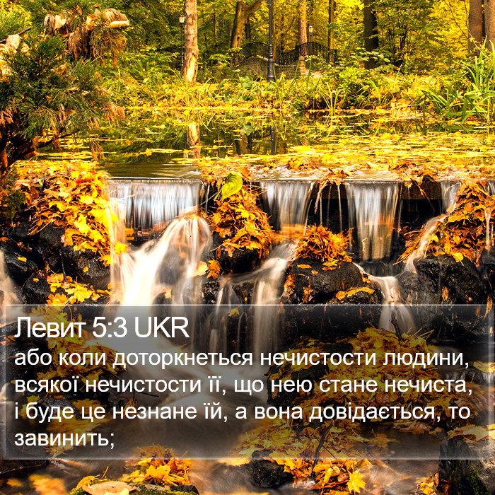 Левит 5:3 UKR Bible Study