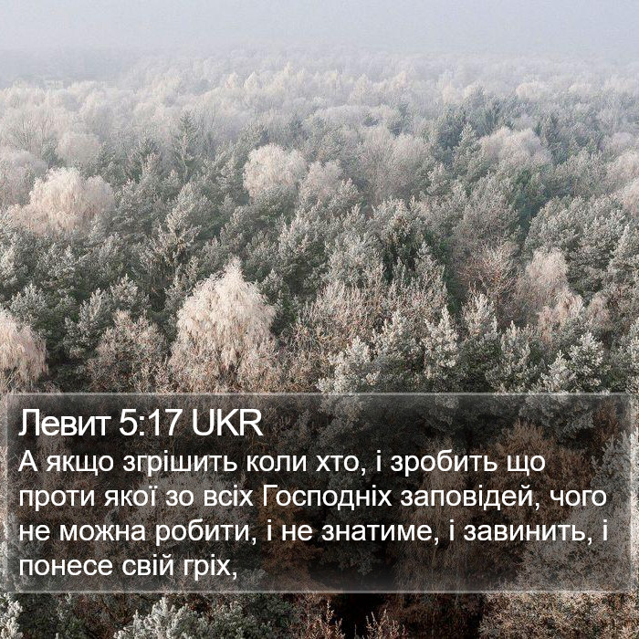 Левит 5:17 UKR Bible Study