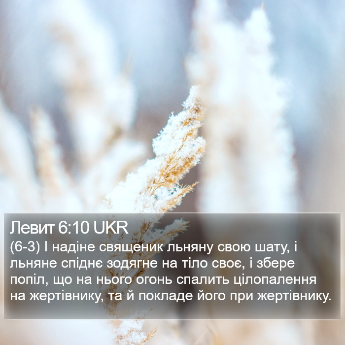 Левит 6:10 UKR Bible Study