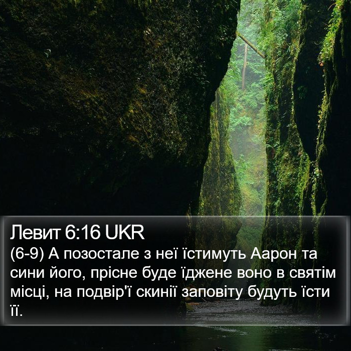 Левит 6:16 UKR Bible Study