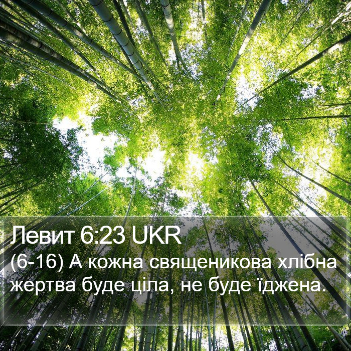 Левит 6:23 UKR Bible Study