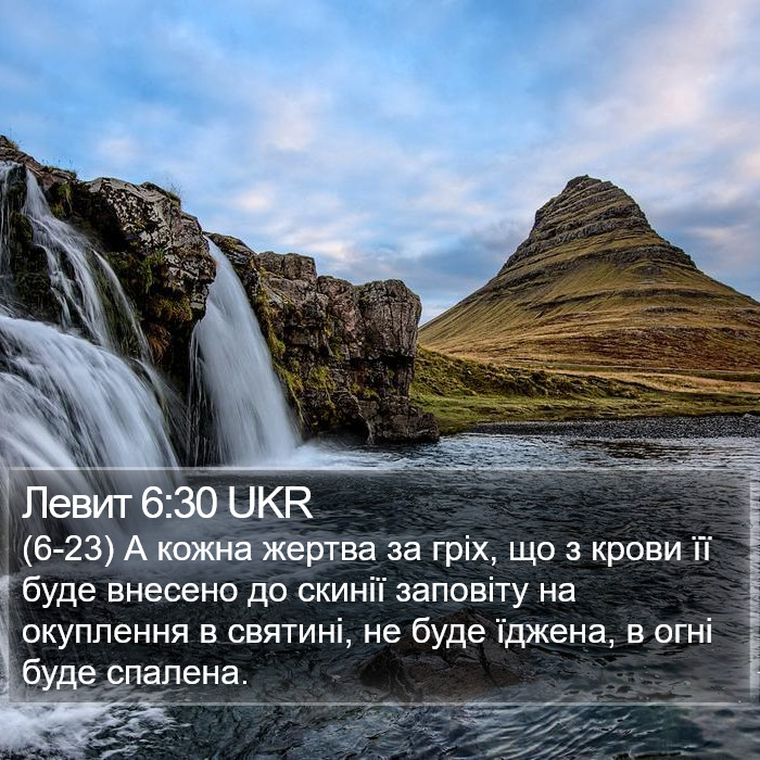 Левит 6:30 UKR Bible Study