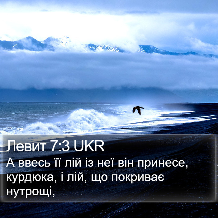 Левит 7:3 UKR Bible Study