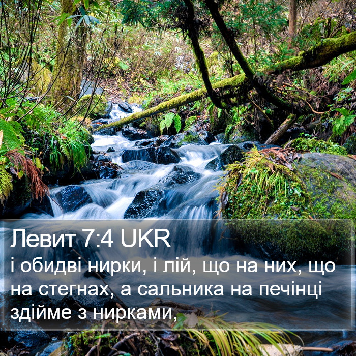 Левит 7:4 UKR Bible Study