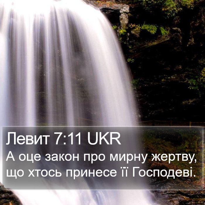 Левит 7:11 UKR Bible Study