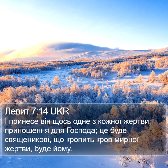 Левит 7:14 UKR Bible Study