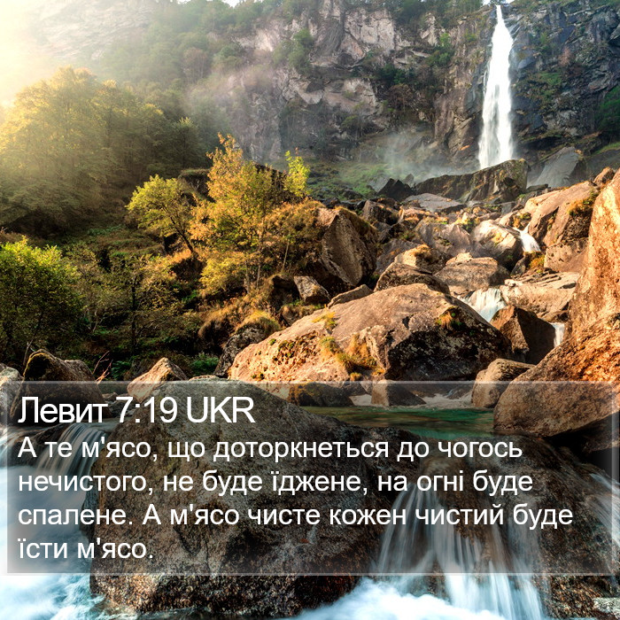 Левит 7:19 UKR Bible Study