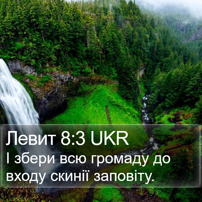 Левит 8:3 UKR Bible Study