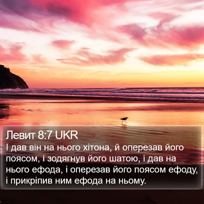 Левит 8:7 UKR Bible Study