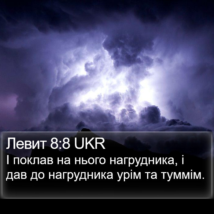 Левит 8:8 UKR Bible Study