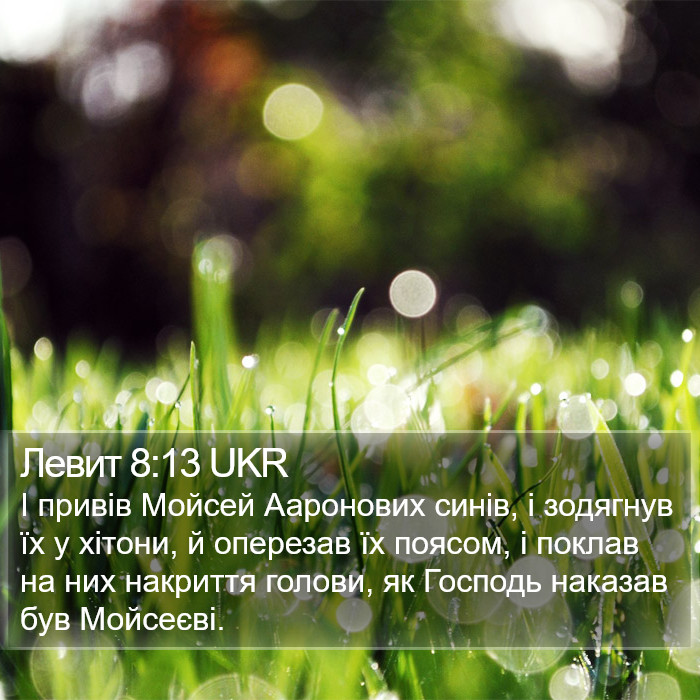 Левит 8:13 UKR Bible Study