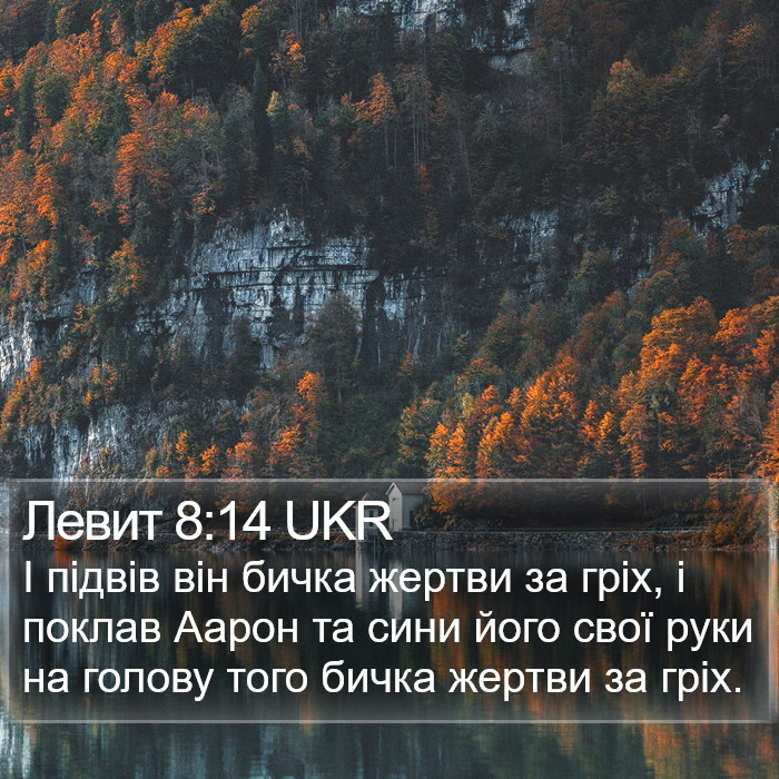 Левит 8:14 UKR Bible Study