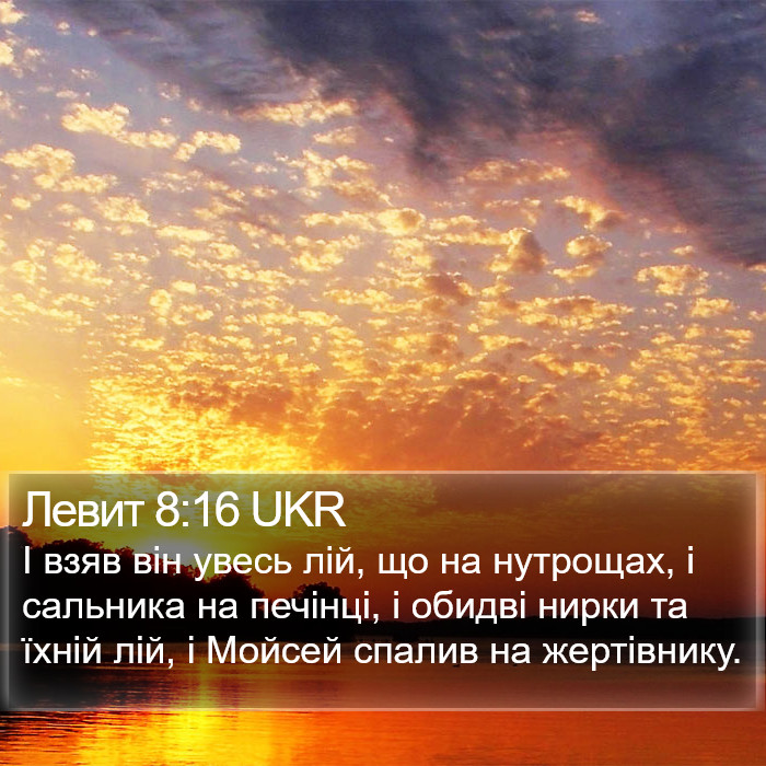 Левит 8:16 UKR Bible Study