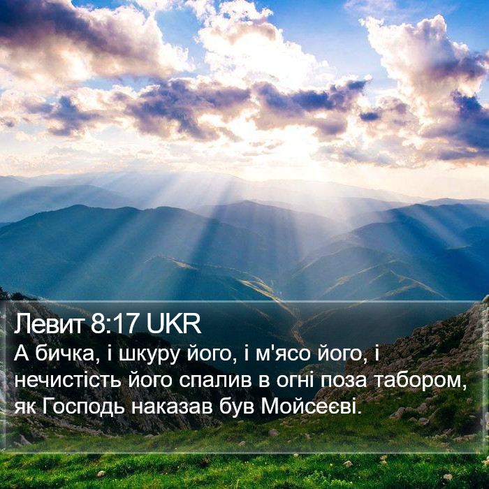 Левит 8:17 UKR Bible Study