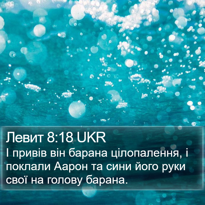 Левит 8:18 UKR Bible Study