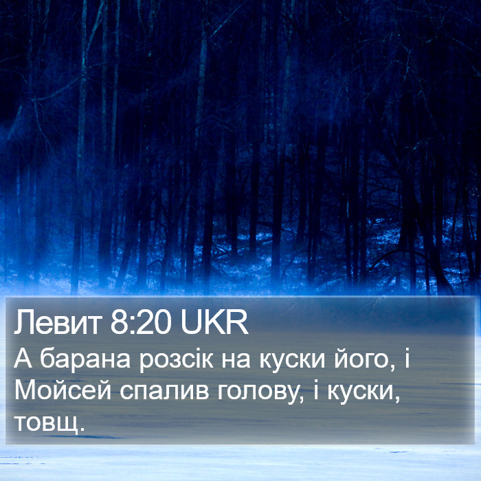 Левит 8:20 UKR Bible Study