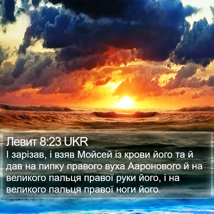 Левит 8:23 UKR Bible Study