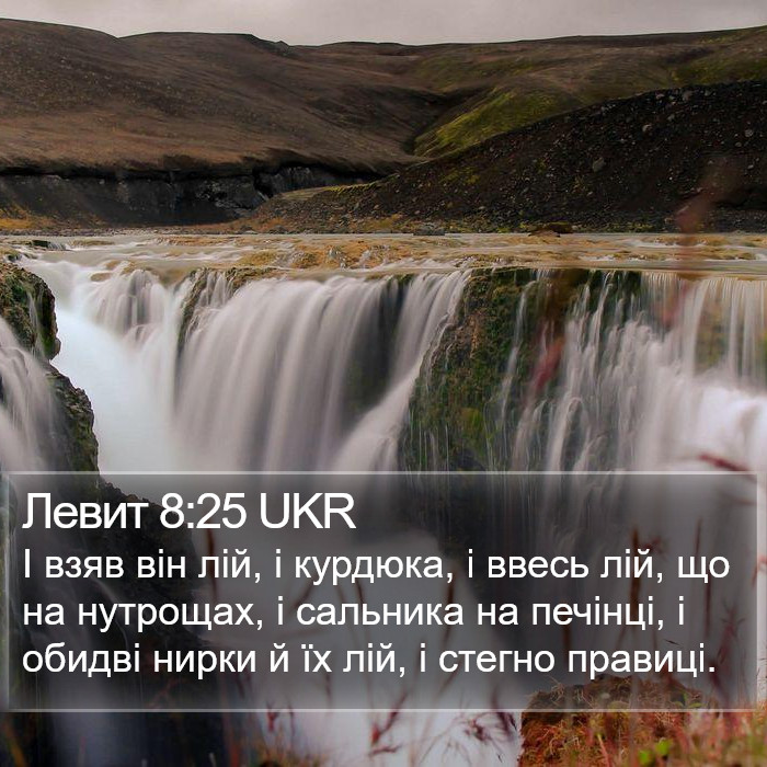 Левит 8:25 UKR Bible Study