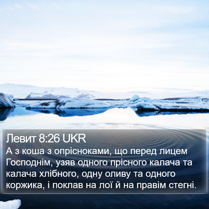 Левит 8:26 UKR Bible Study