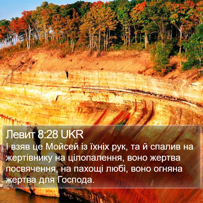 Левит 8:28 UKR Bible Study