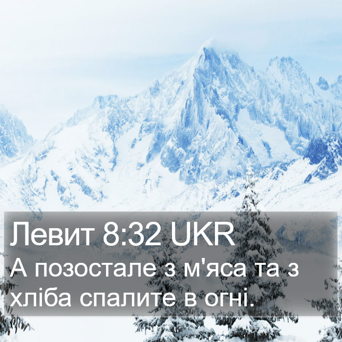 Левит 8:32 UKR Bible Study