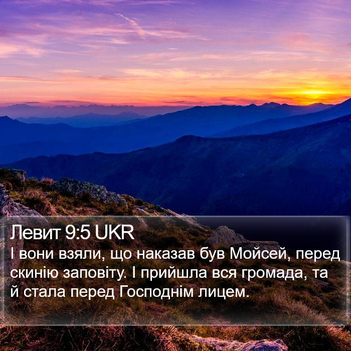 Левит 9:5 UKR Bible Study