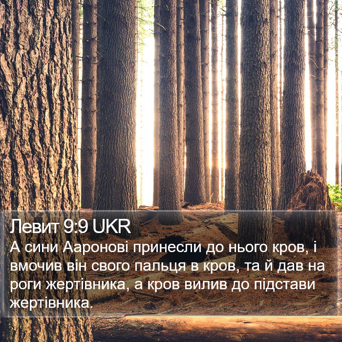 Левит 9:9 UKR Bible Study