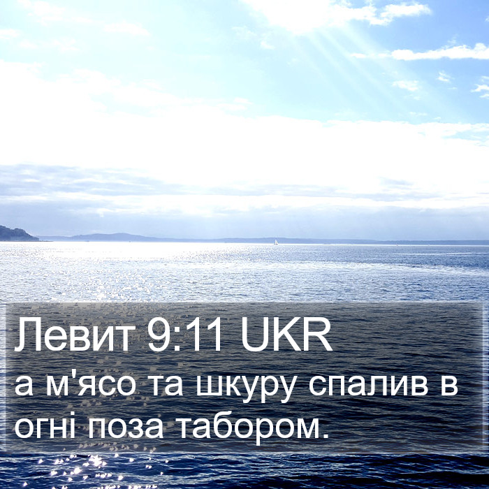 Левит 9:11 UKR Bible Study