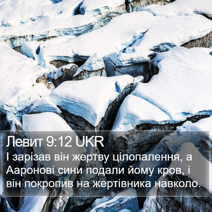 Левит 9:12 UKR Bible Study