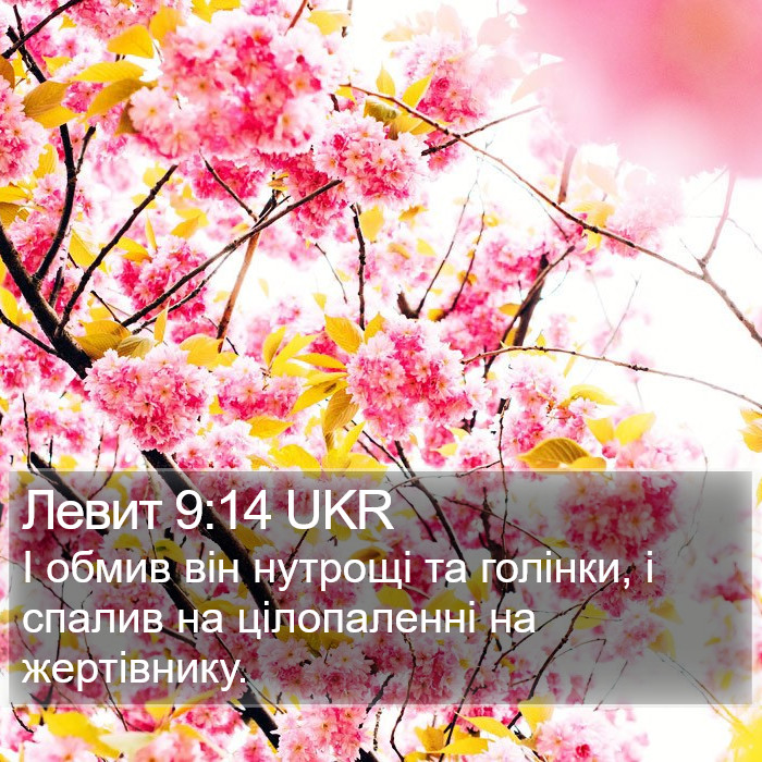 Левит 9:14 UKR Bible Study