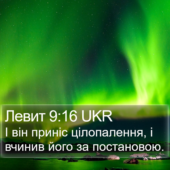 Левит 9:16 UKR Bible Study