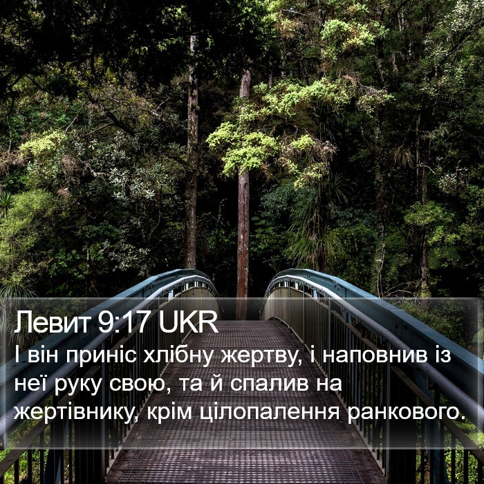 Левит 9:17 UKR Bible Study
