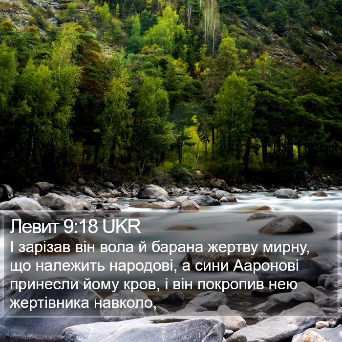 Левит 9:18 UKR Bible Study