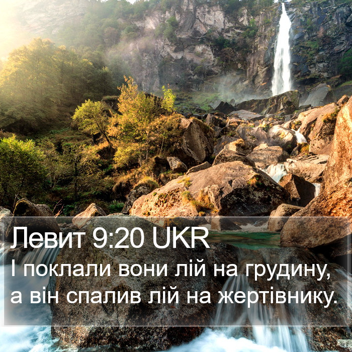 Левит 9:20 UKR Bible Study
