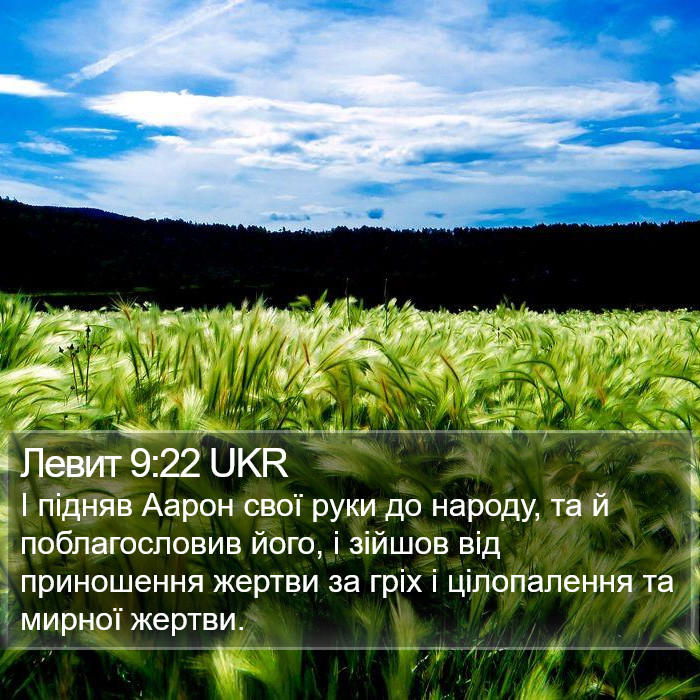 Левит 9:22 UKR Bible Study