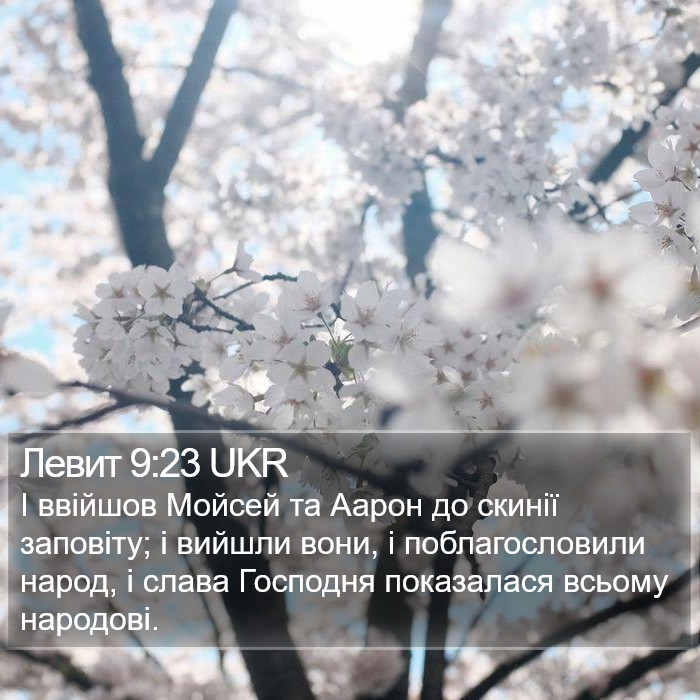 Левит 9:23 UKR Bible Study