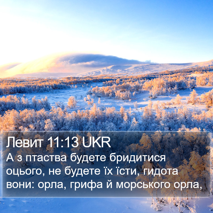 Левит 11:13 UKR Bible Study