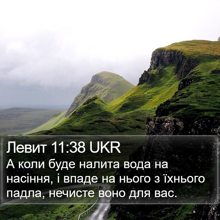 Левит 11:38 UKR Bible Study