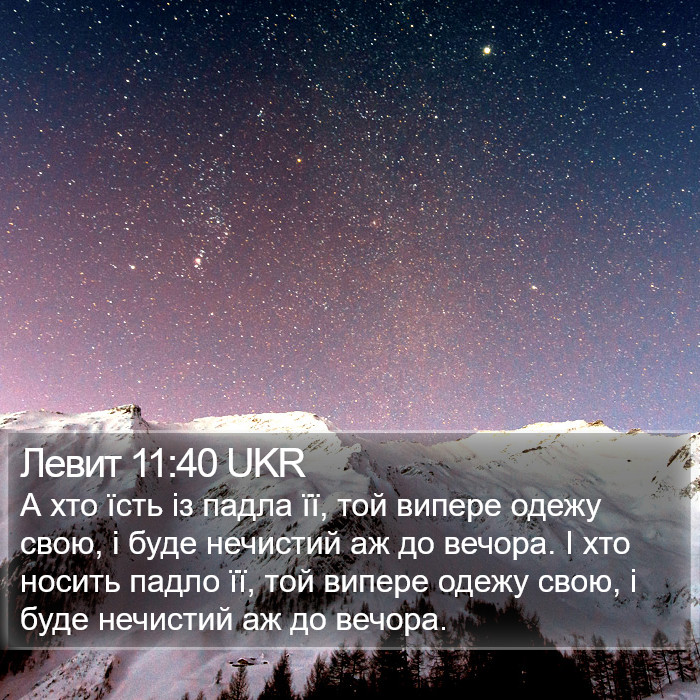 Левит 11:40 UKR Bible Study