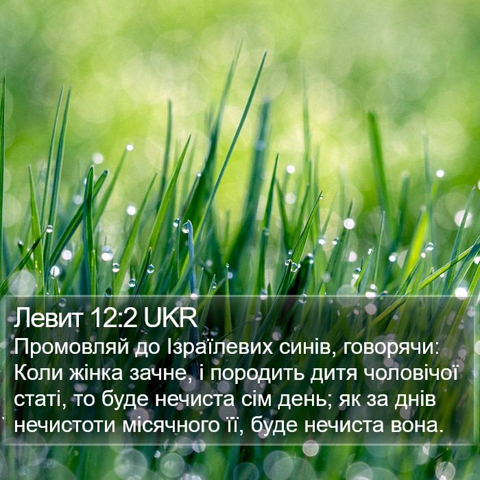 Левит 12:2 UKR Bible Study