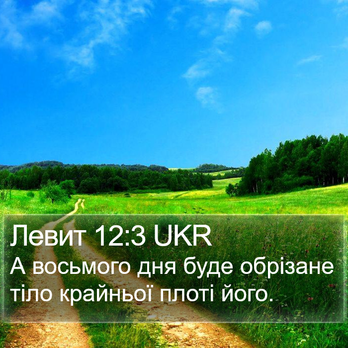 Левит 12:3 UKR Bible Study