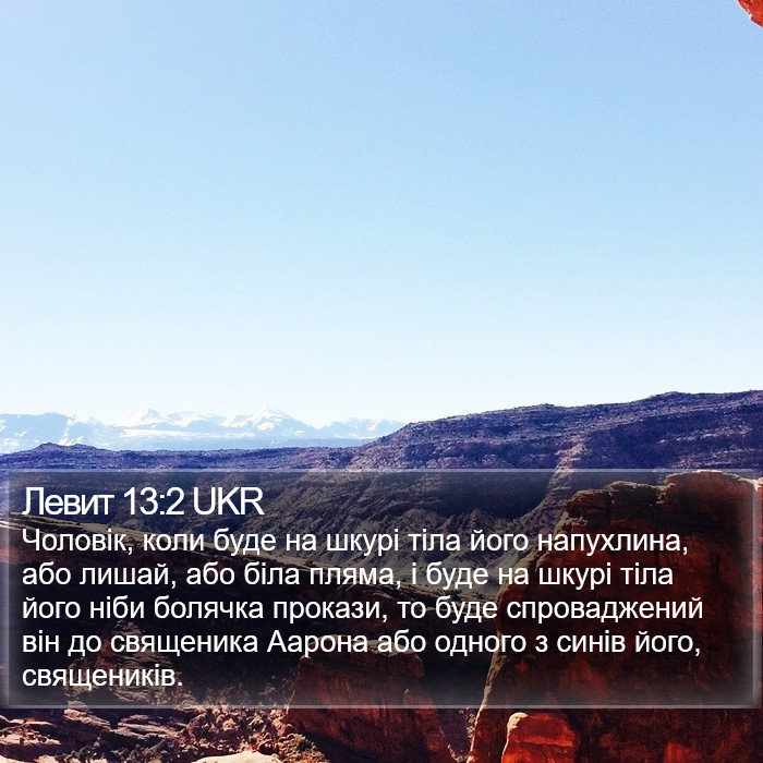 Левит 13:2 UKR Bible Study