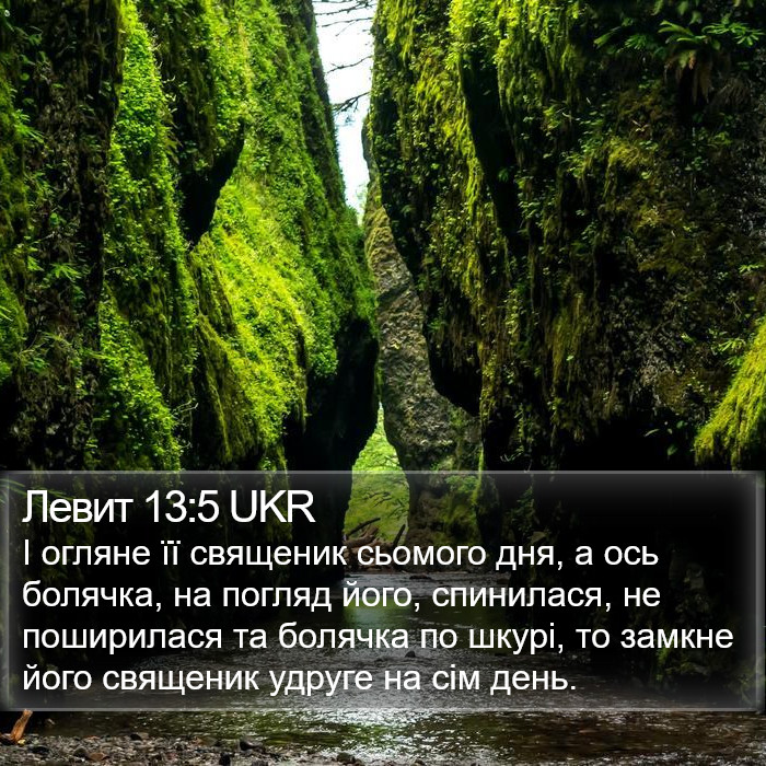 Левит 13:5 UKR Bible Study