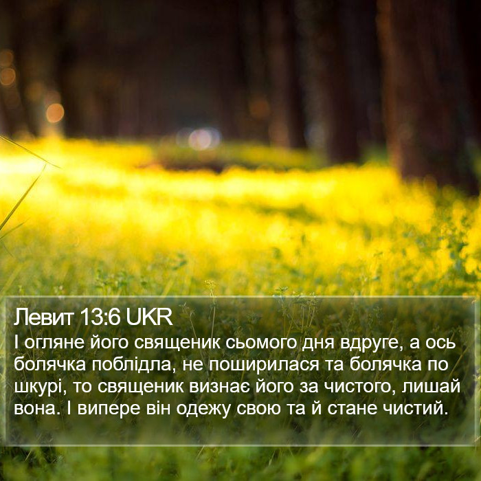 Левит 13:6 UKR Bible Study