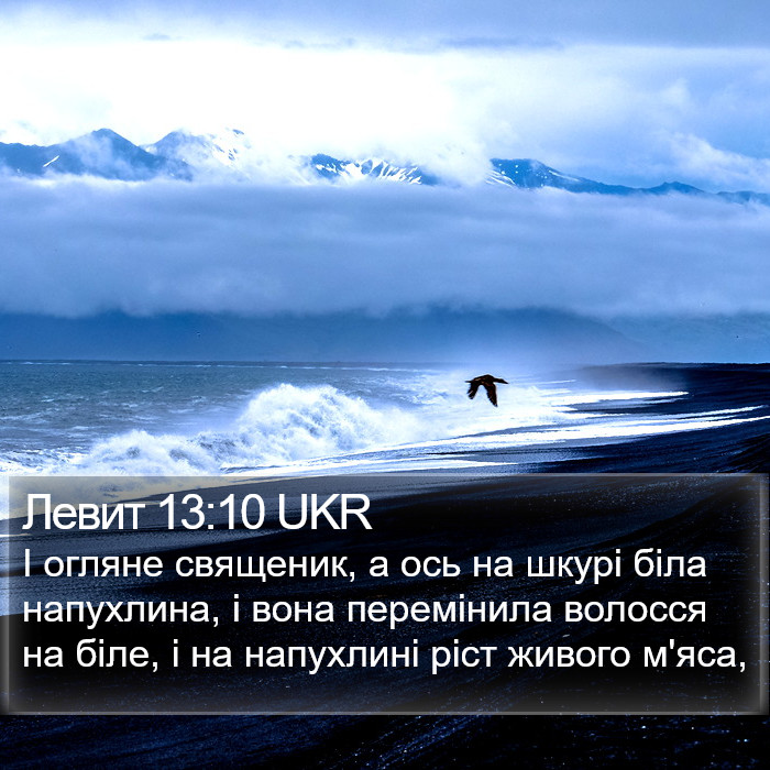 Левит 13:10 UKR Bible Study