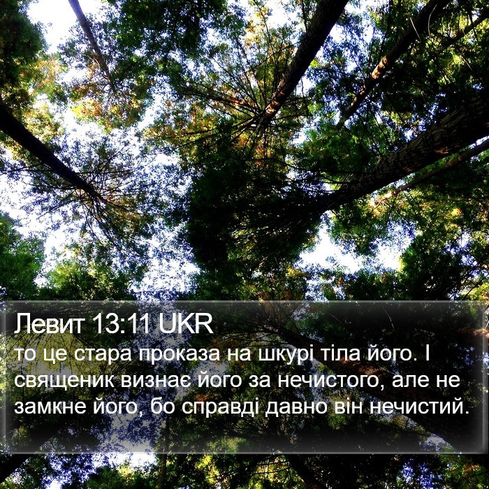 Левит 13:11 UKR Bible Study