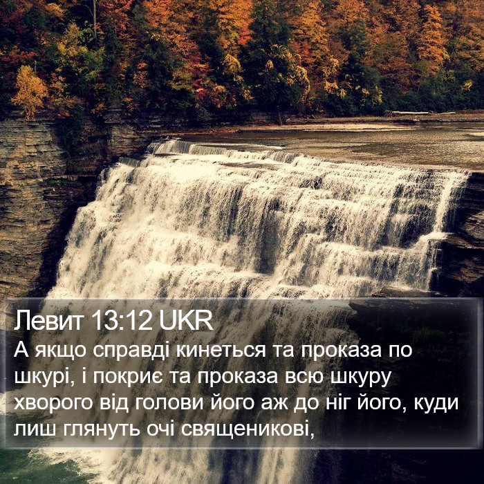 Левит 13:12 UKR Bible Study